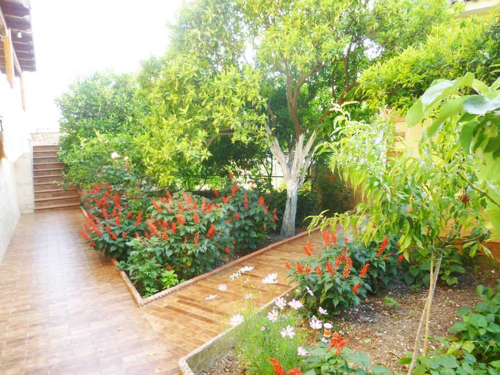 Vila Altini Борш Екстер'єр фото