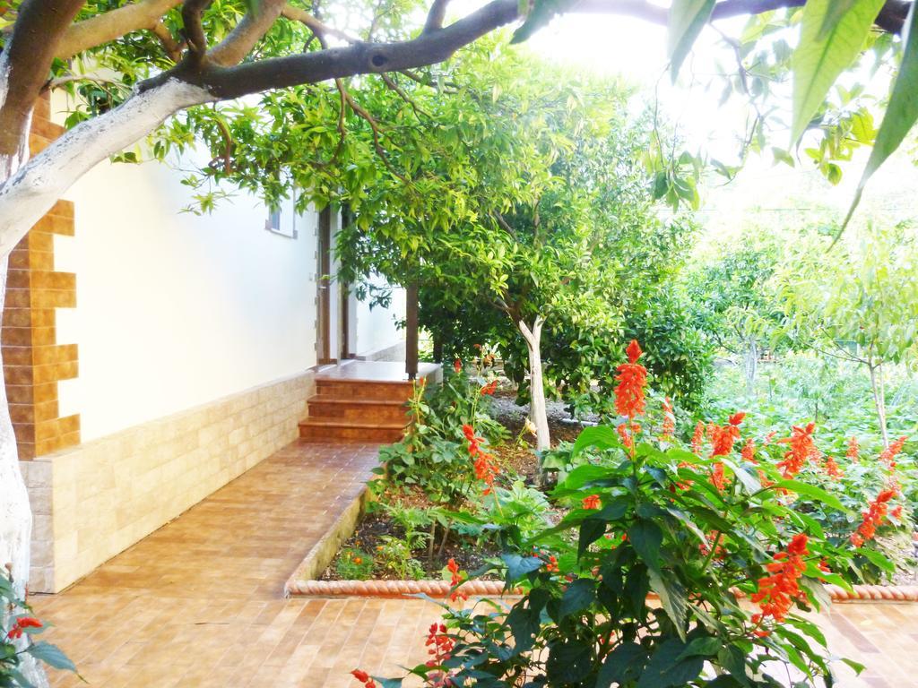 Vila Altini Борш Екстер'єр фото