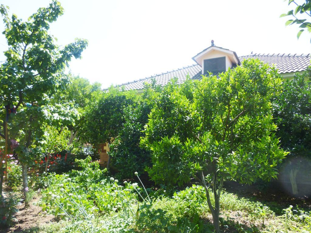 Vila Altini Борш Екстер'єр фото