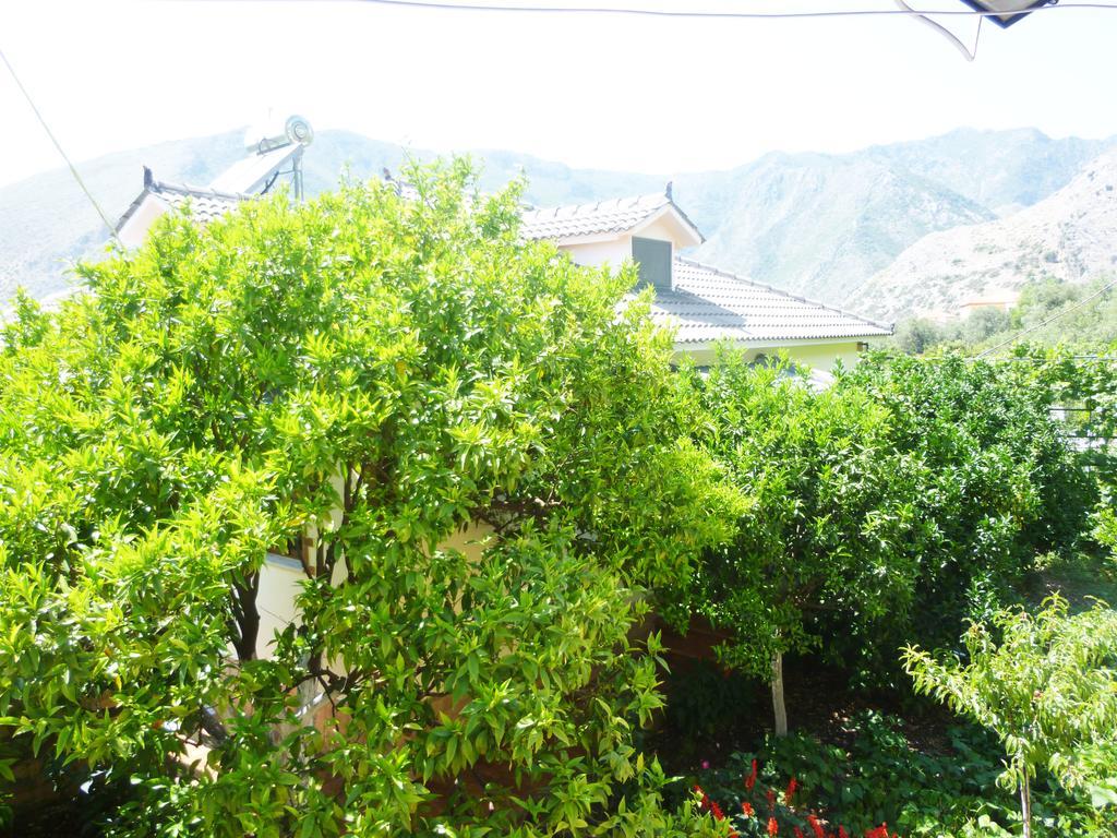 Vila Altini Борш Екстер'єр фото